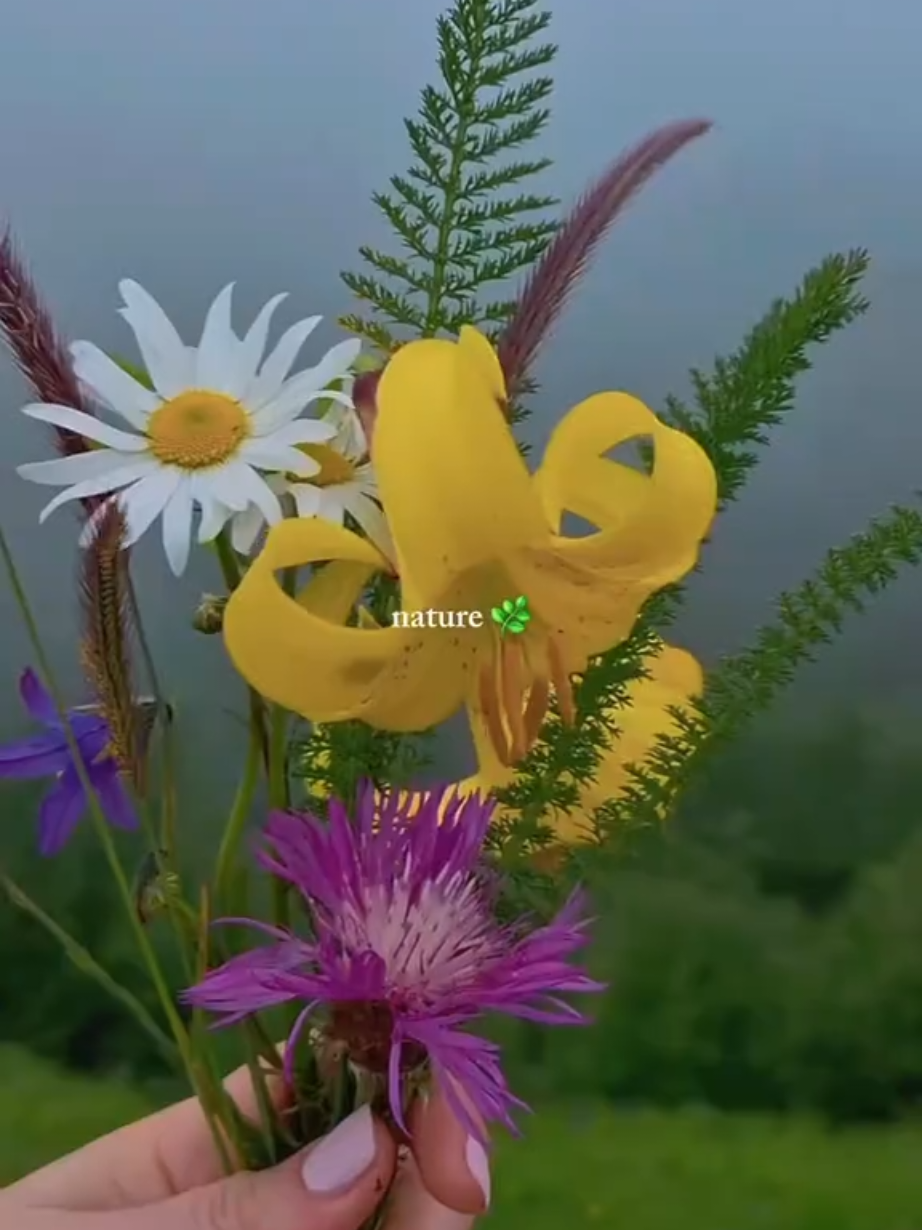 @tiktok