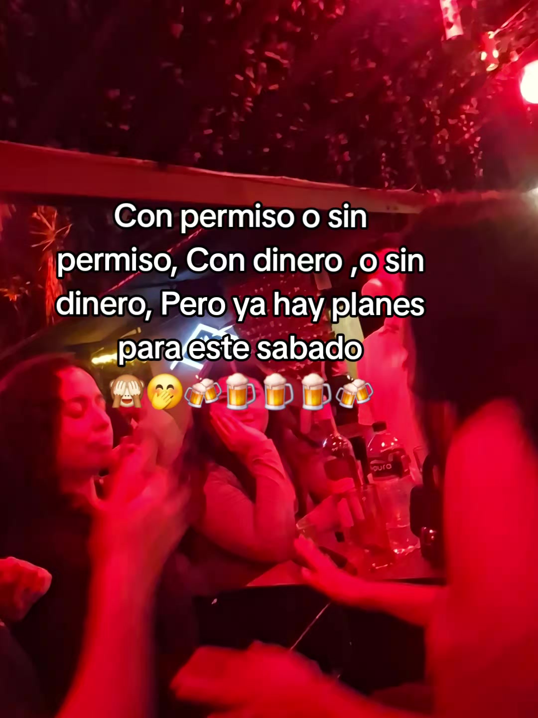 @Luz Llamas