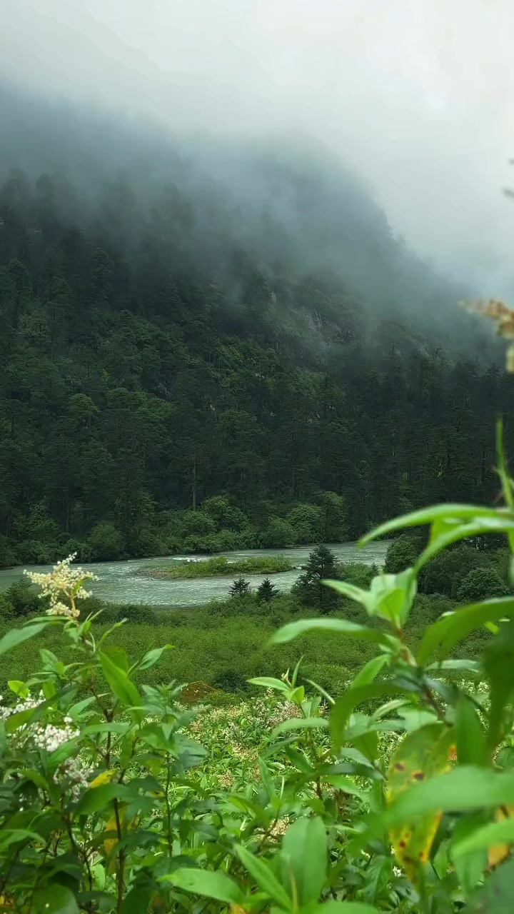 @Incredible India