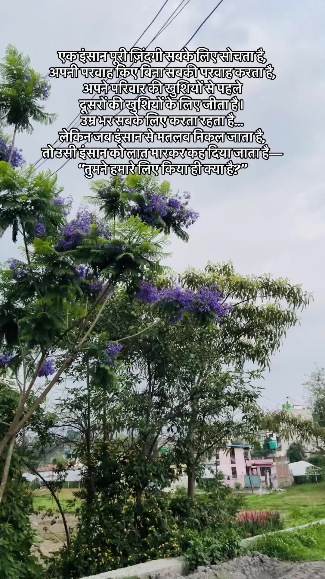 @Anju Prajapati
