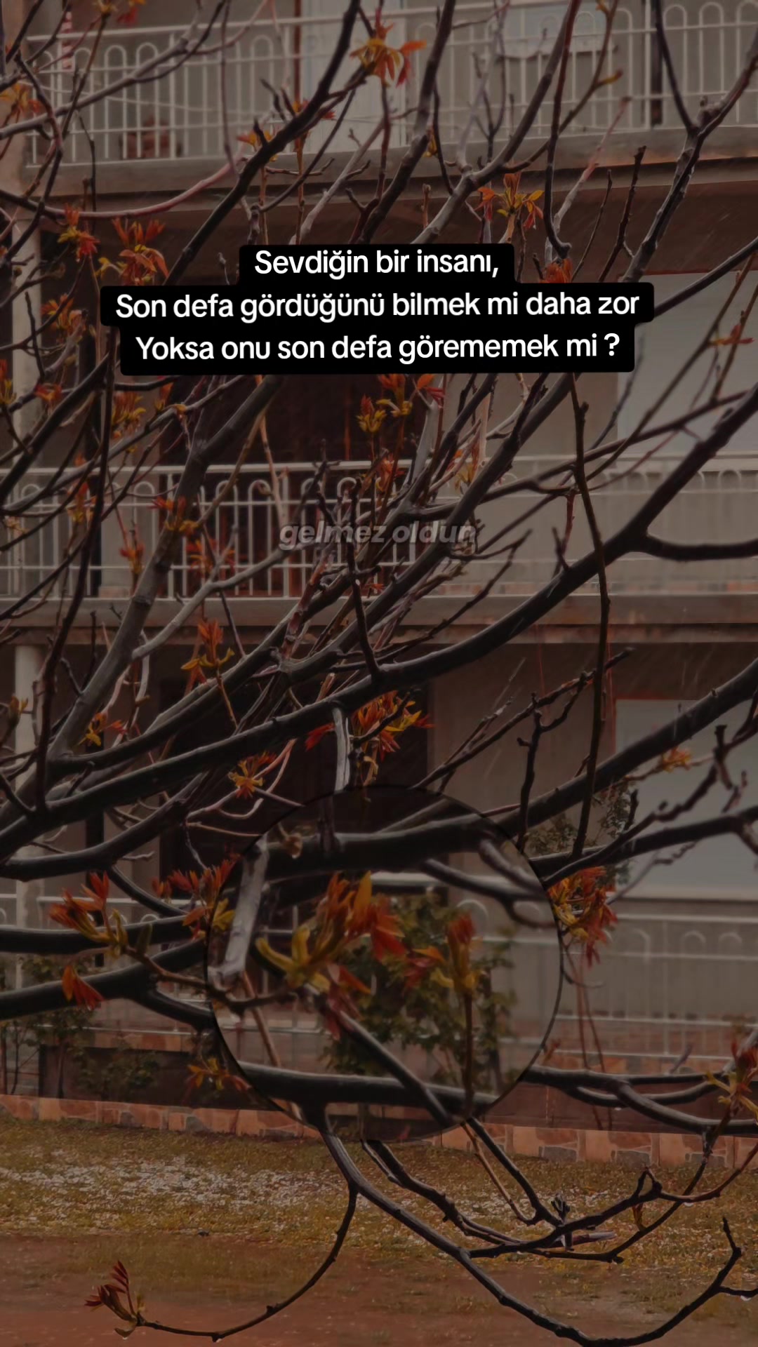 @𝐁𝐚𝐲𝐫𝐚𝐦 𝐓𝐚𝐧𝛊𝐫