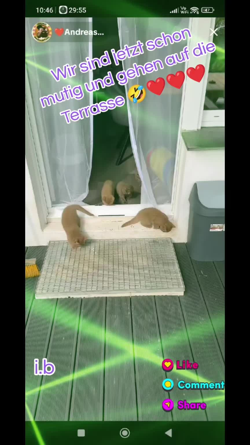 @ines (Miss Marple)❤️T❤️ACats❤️