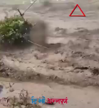@pandit🇳🇵🙏
