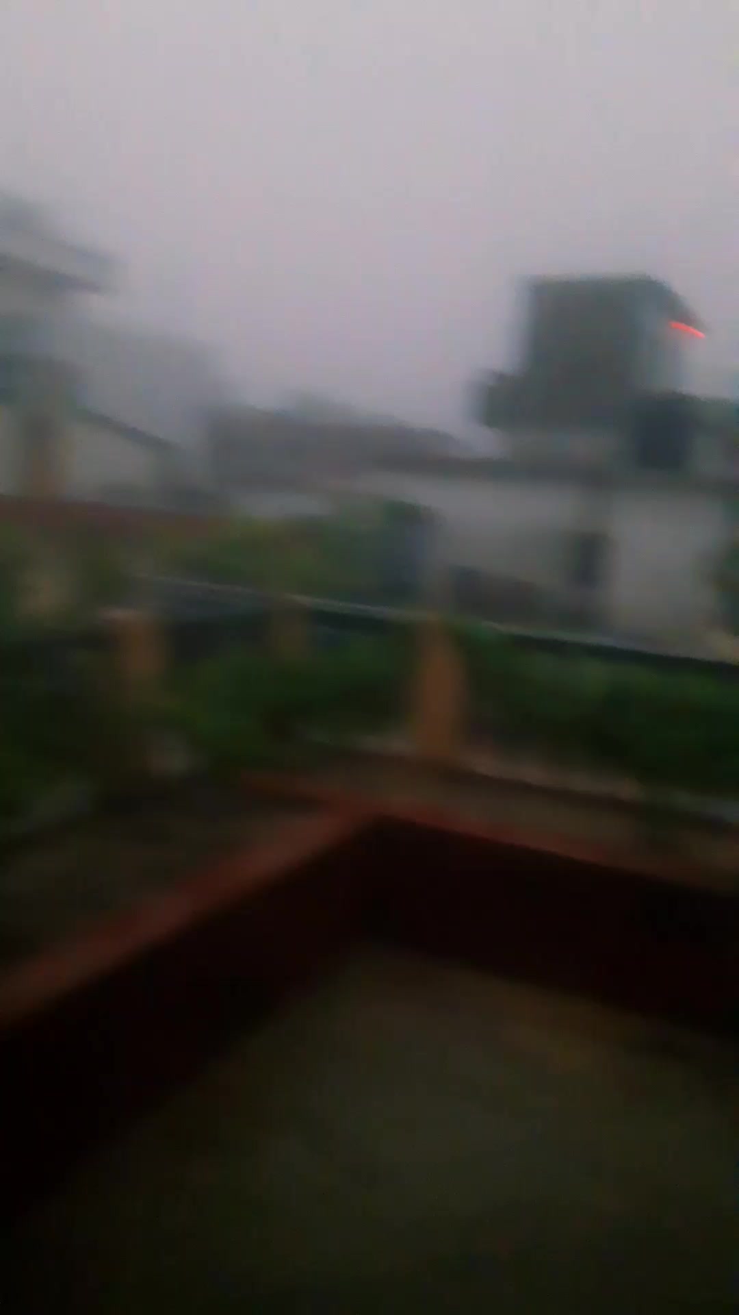 @usha yadav