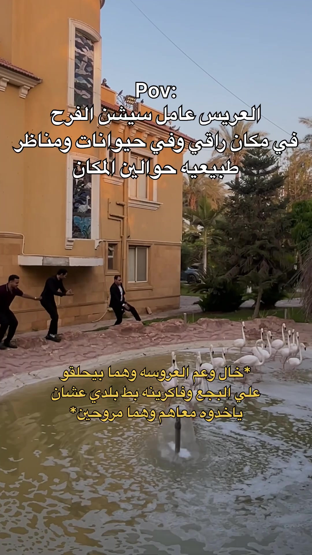@mahmoud iprahim