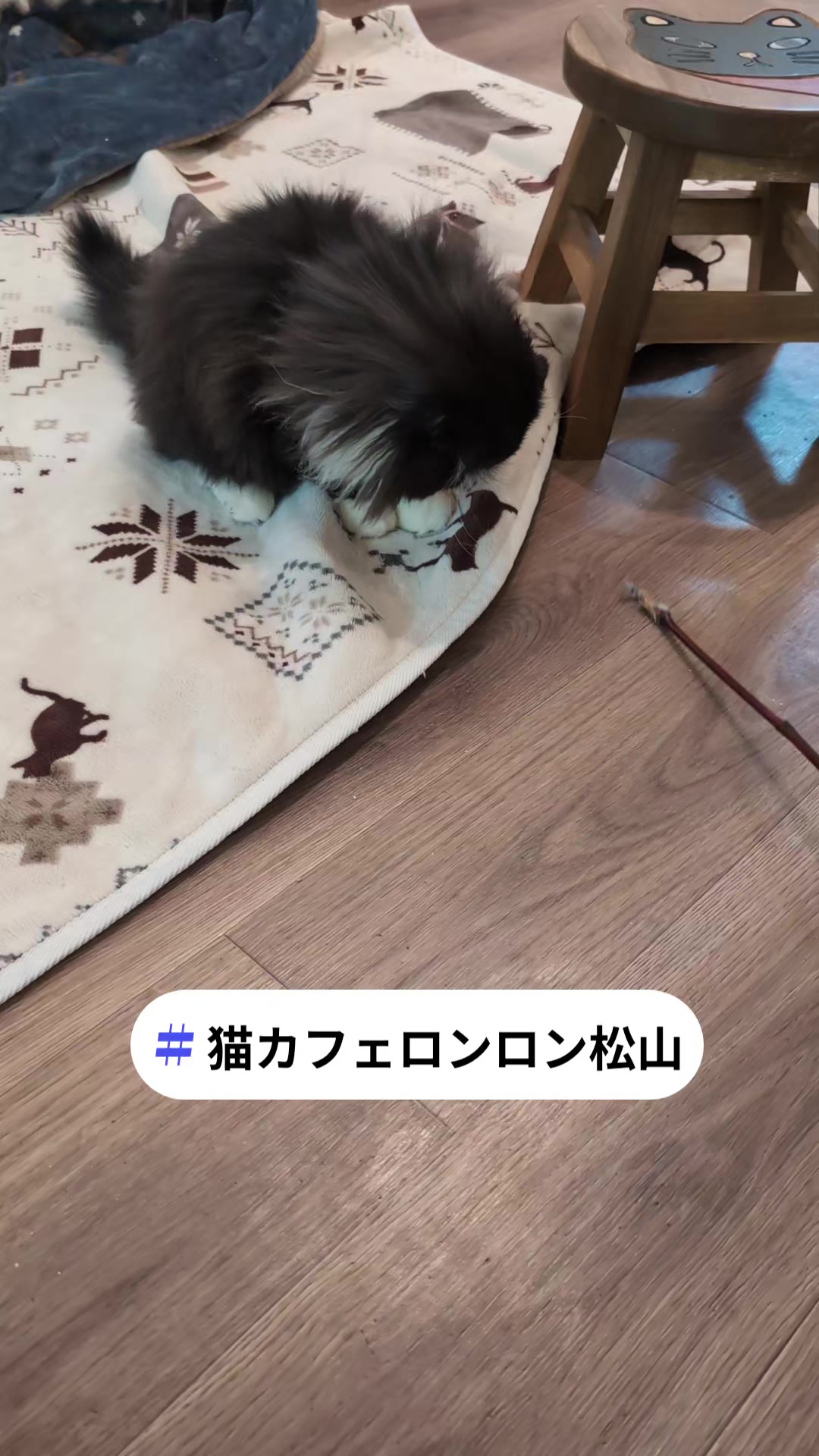 @りょうた