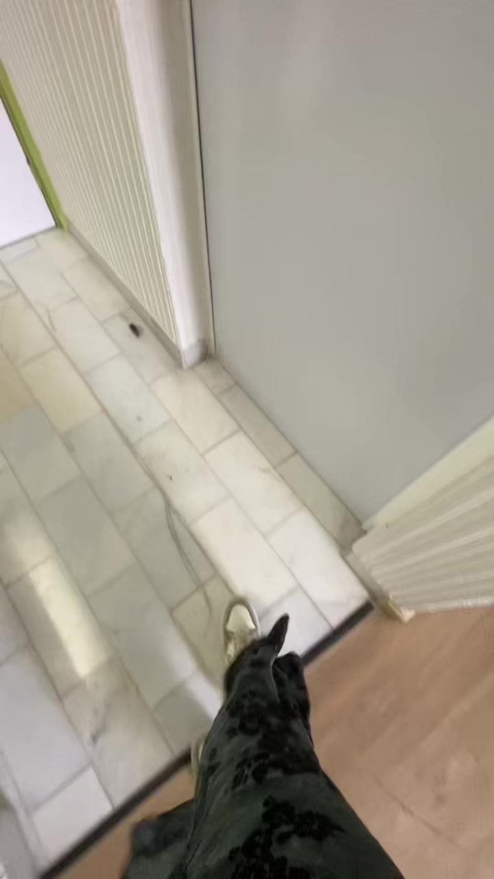 @1ham2ster4