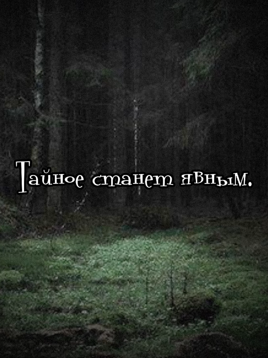 @@мфета_М#новая51
