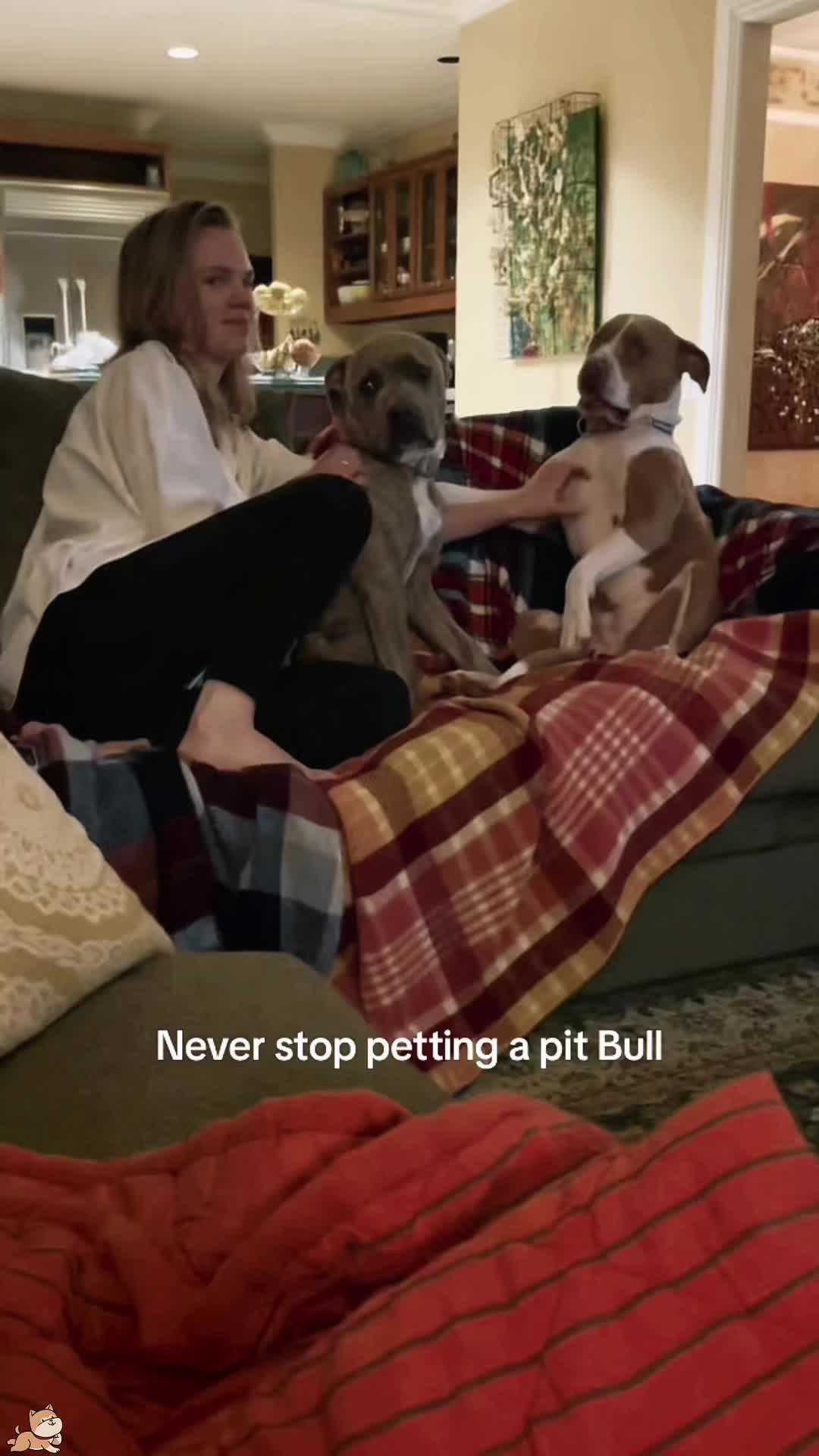 @SneakyFails