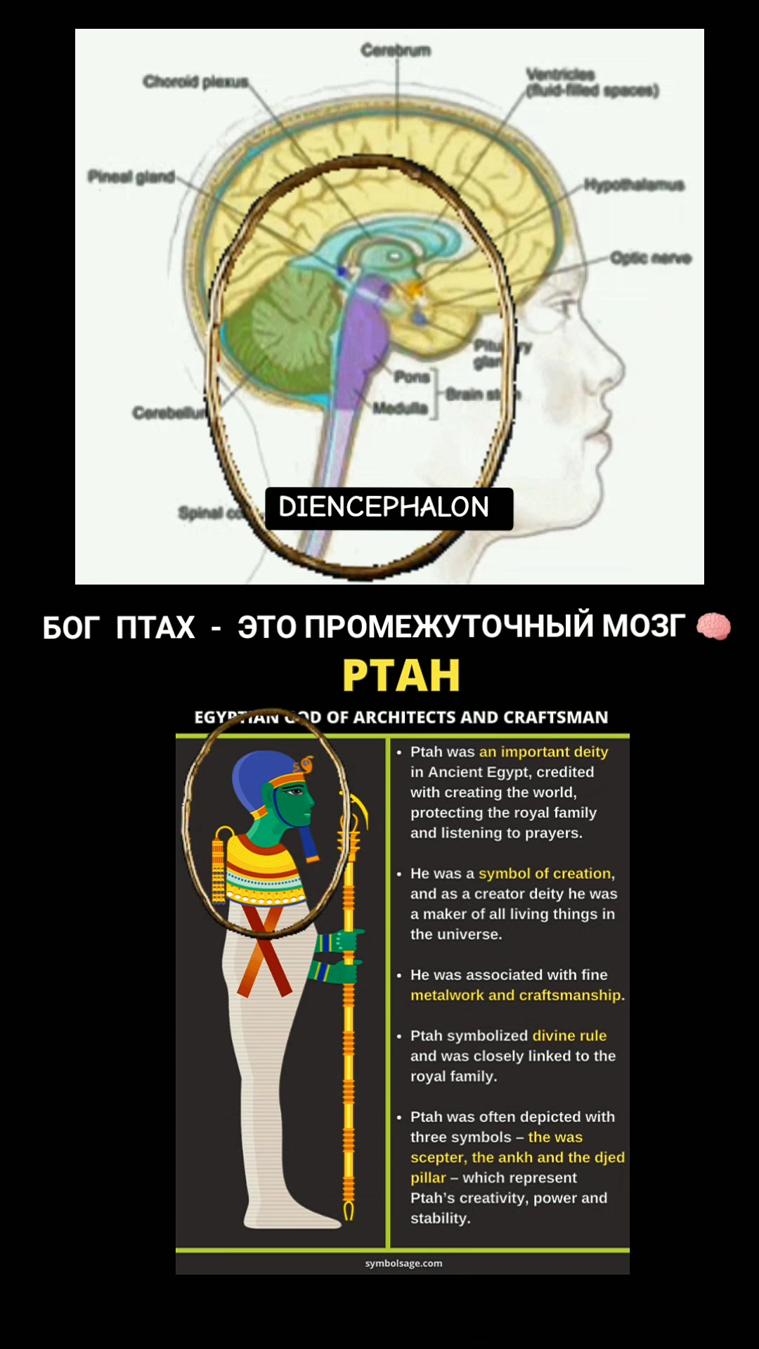 @ОЛЬГА ВЕЛЖИЧ
