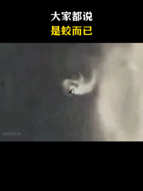 @zhang662916