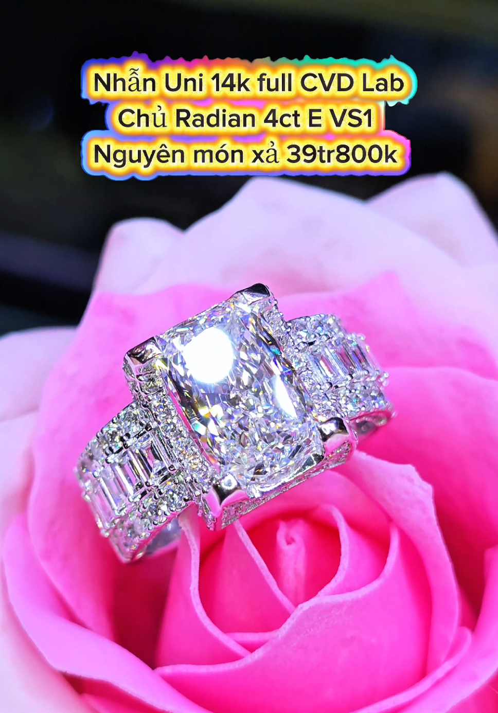 @KIM CƯƠNG NU&Ocirc;I CẤY GI&Aacute; SỈ