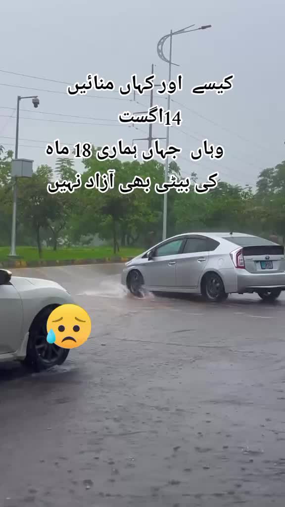 @jani jani
