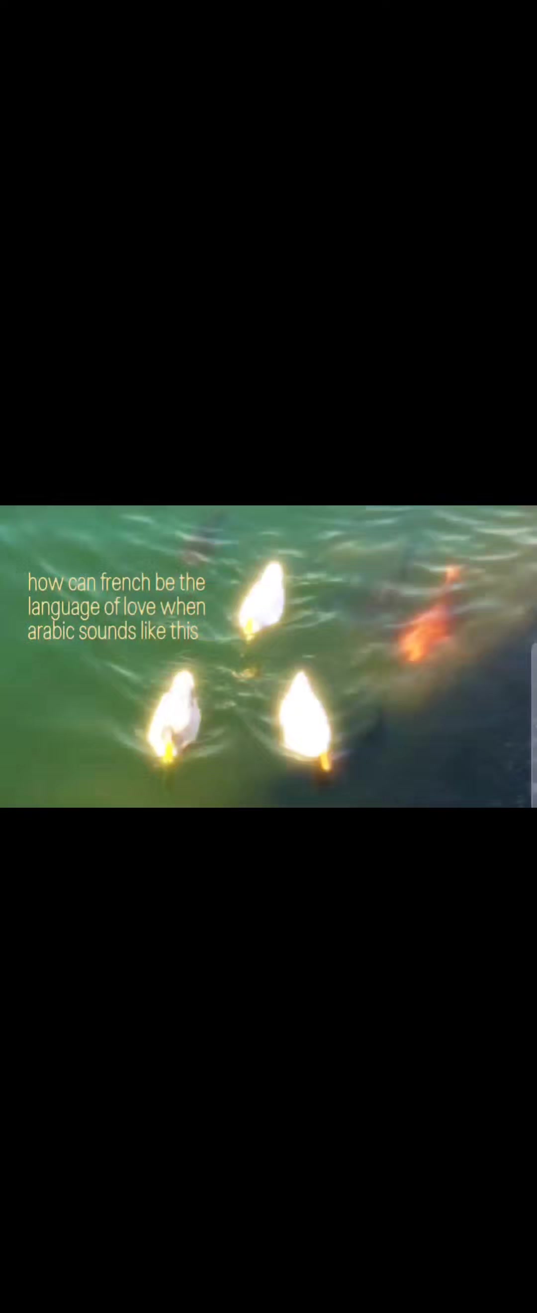 @__