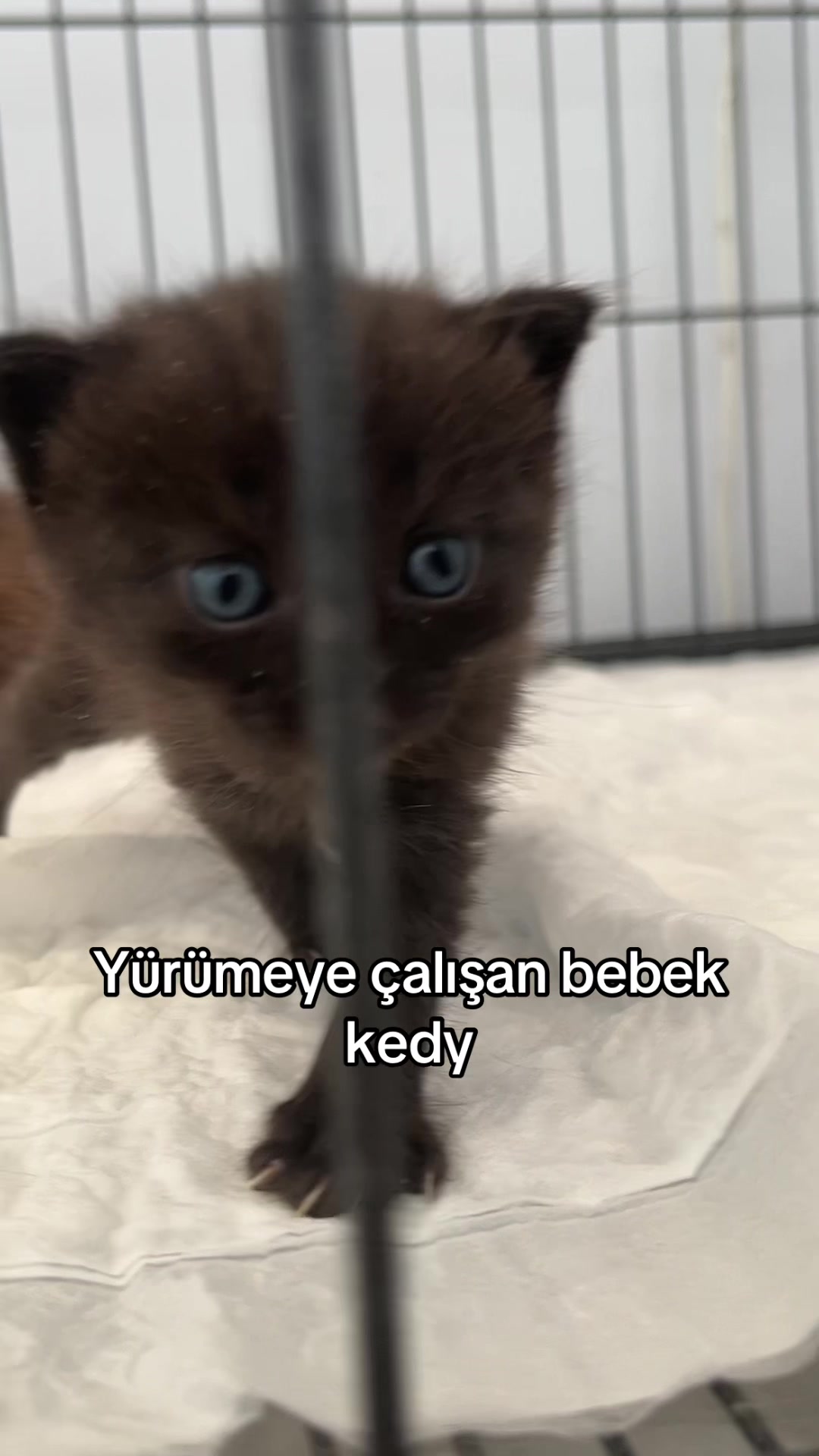 @Beyza🐾