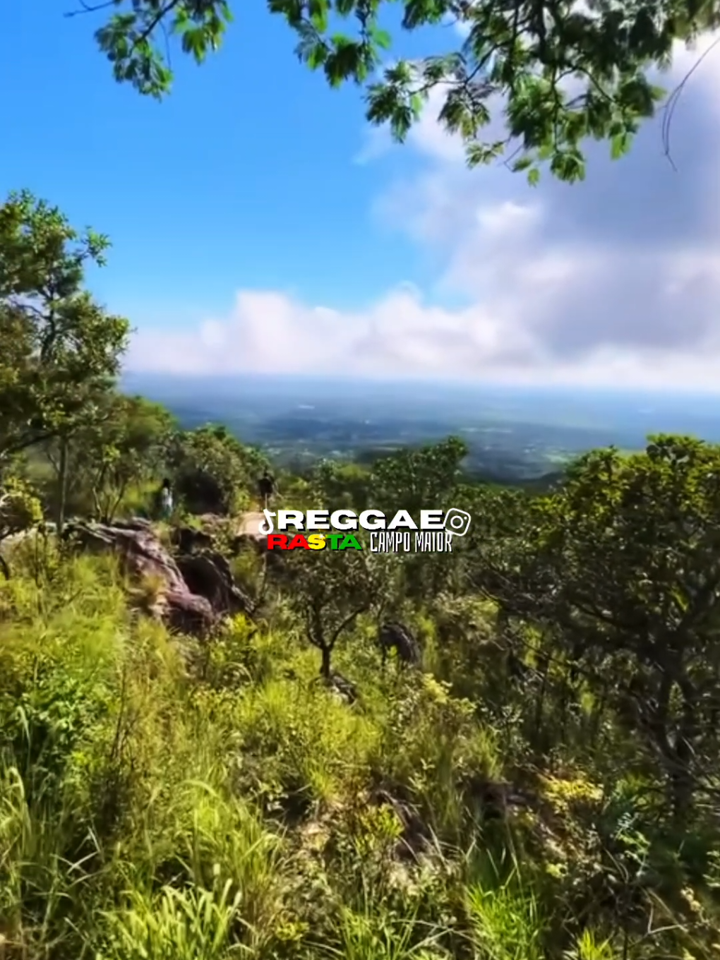 @REGGAE RASTA CM