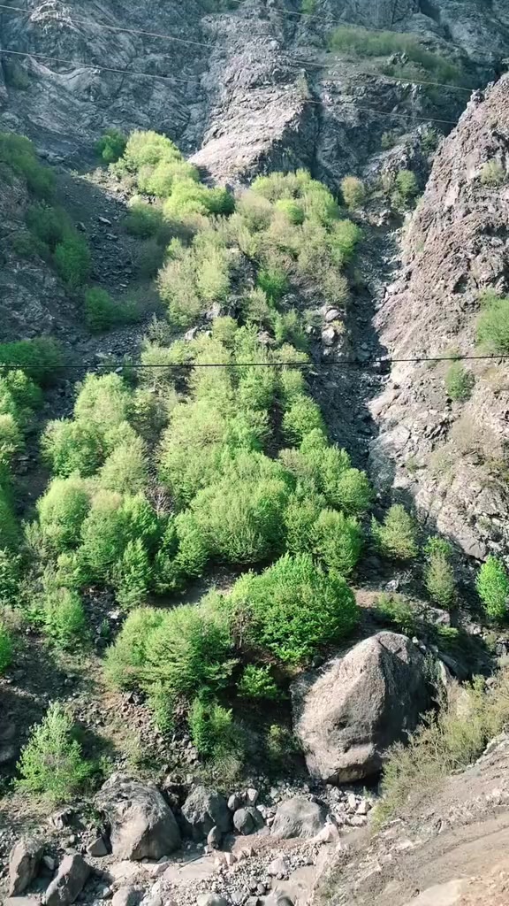 @safarov_037
