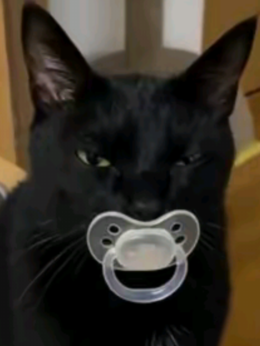 @Gatosetravessuras@10