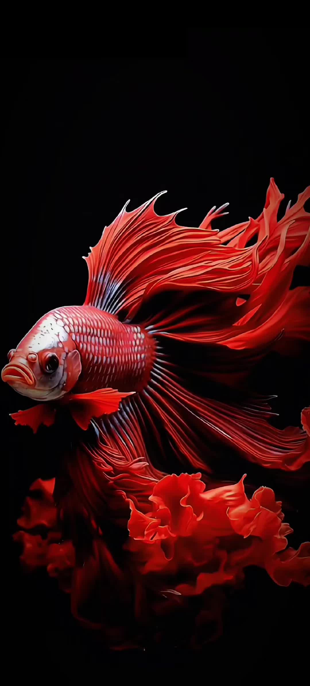 @Live wallpaper