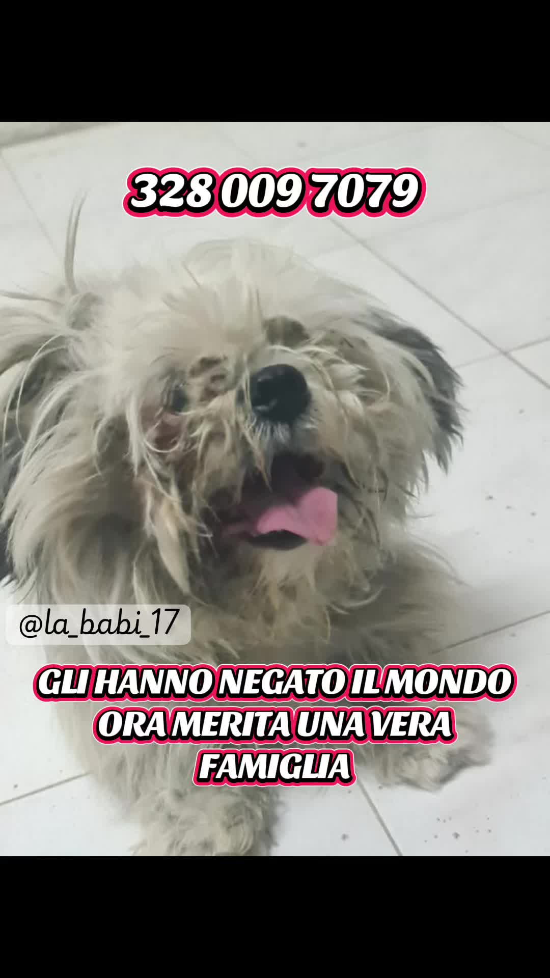 @la_babi_17