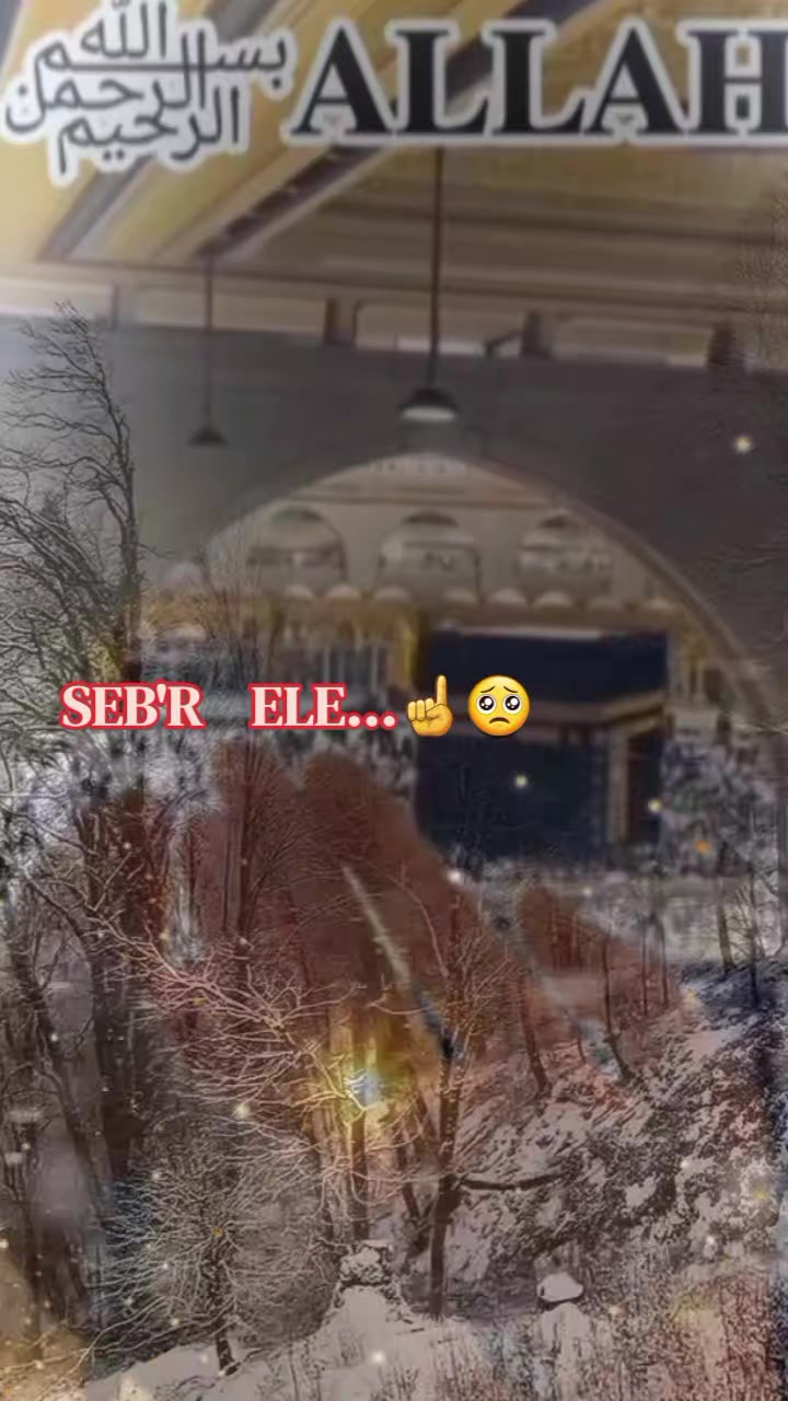 @💙👑SEYIDQIZI👑💙...313✍️
