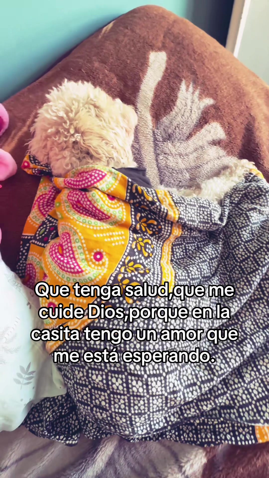 @Guadalupe Noval