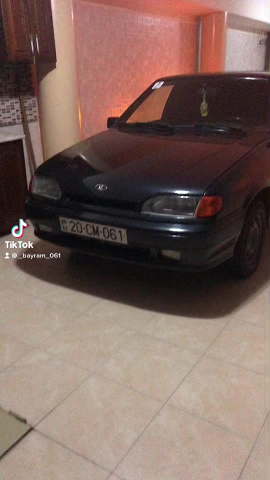 @Bayram Bagirov