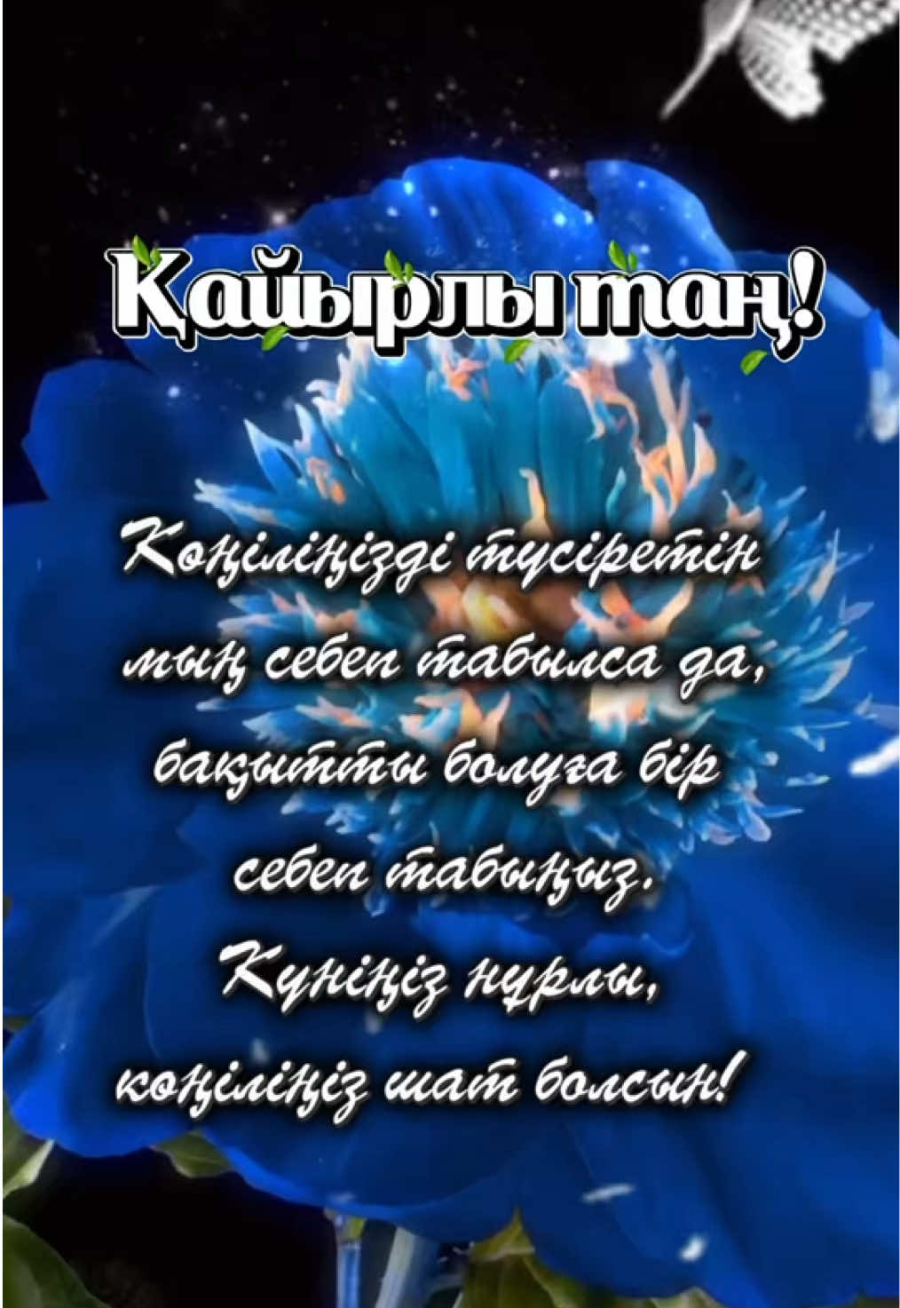 @aray_dinasil