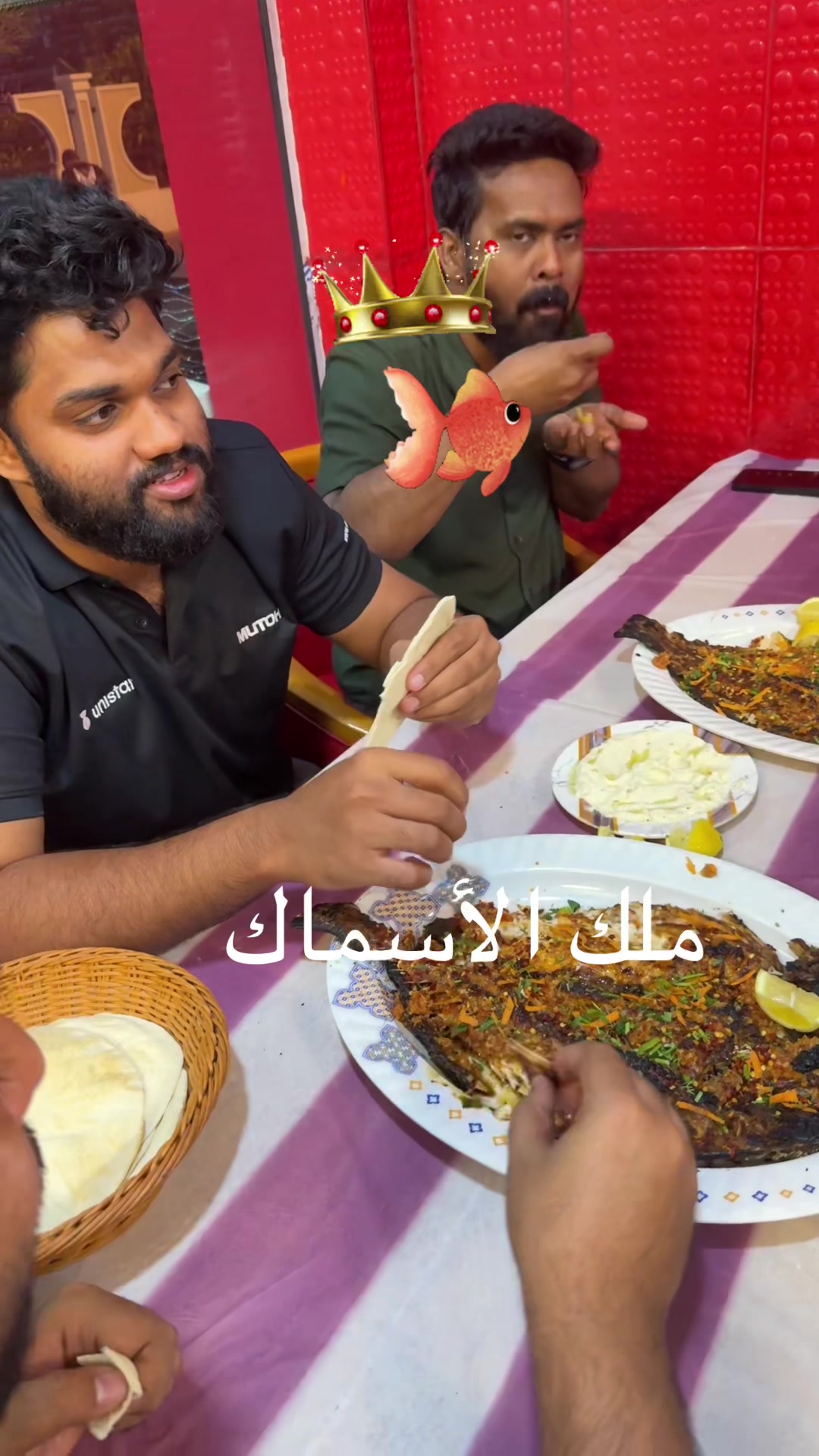 @KING FISH 🇴🇲 مـلـك الأســماك