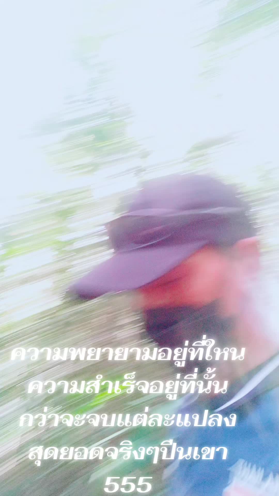 @sirirut