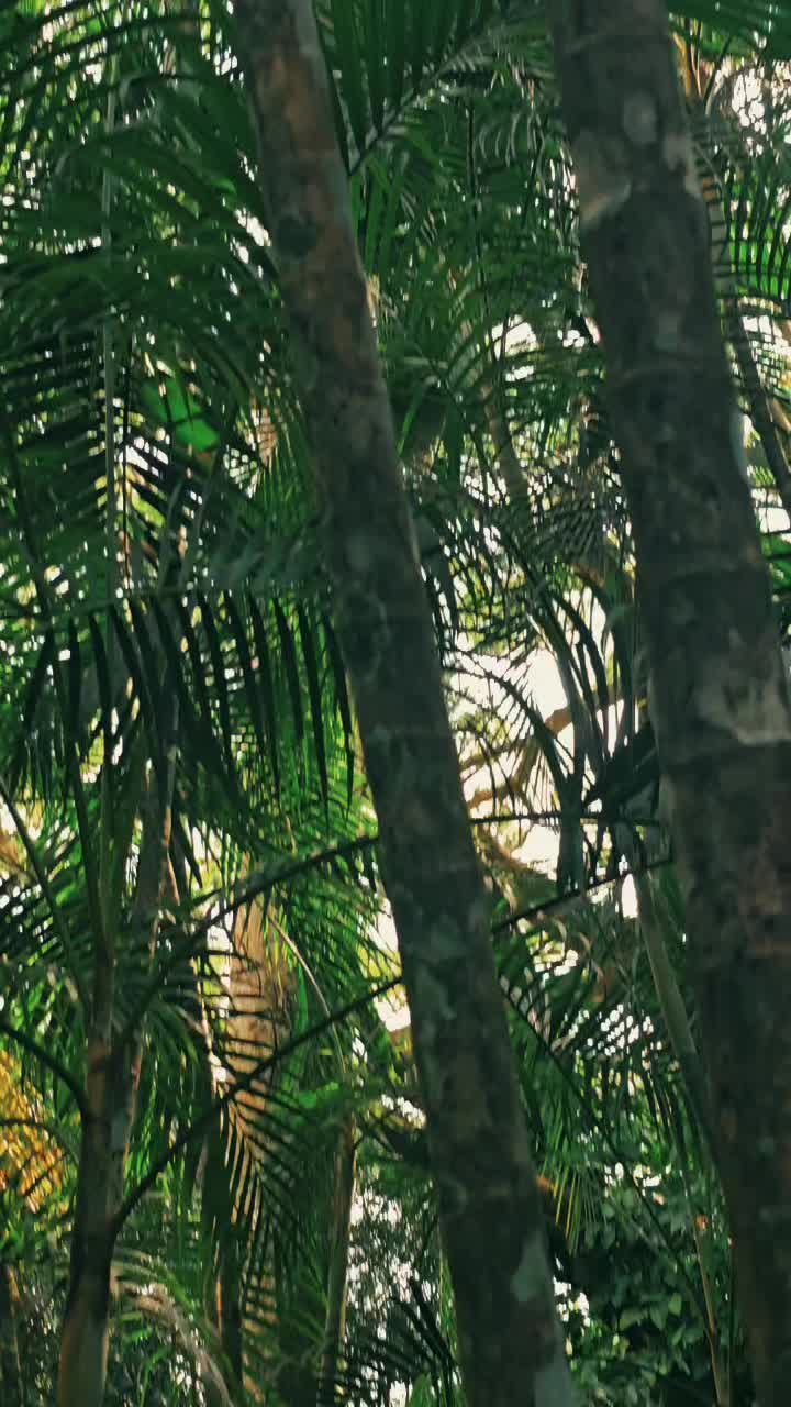 @Darwin D