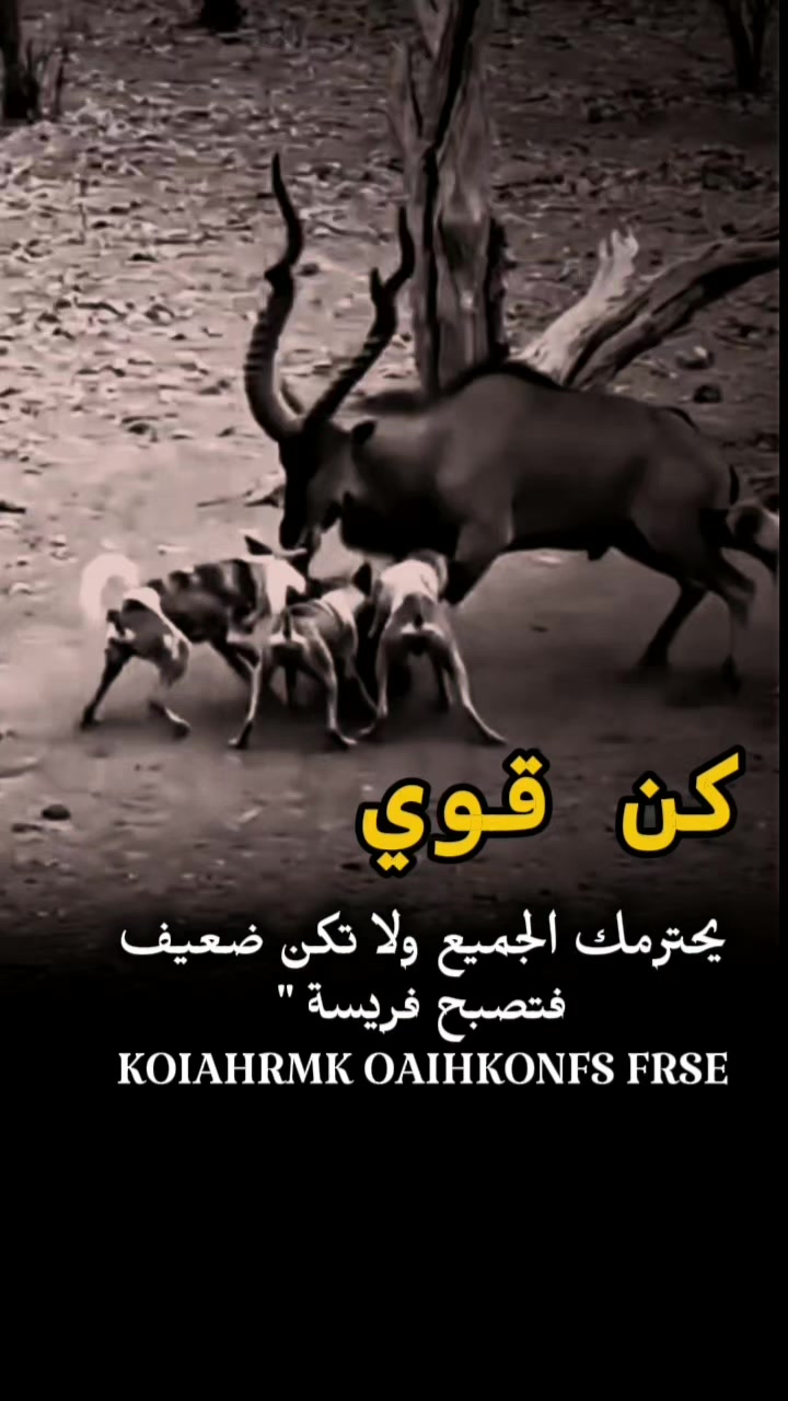 @الحساب للبيع