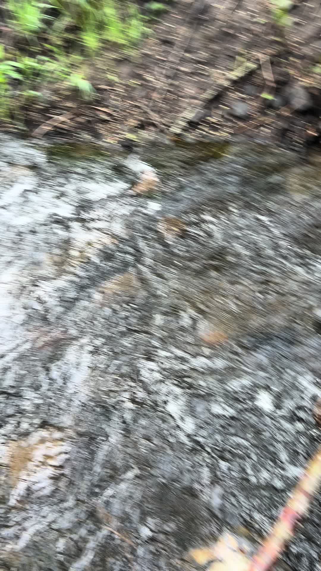 @artex3
