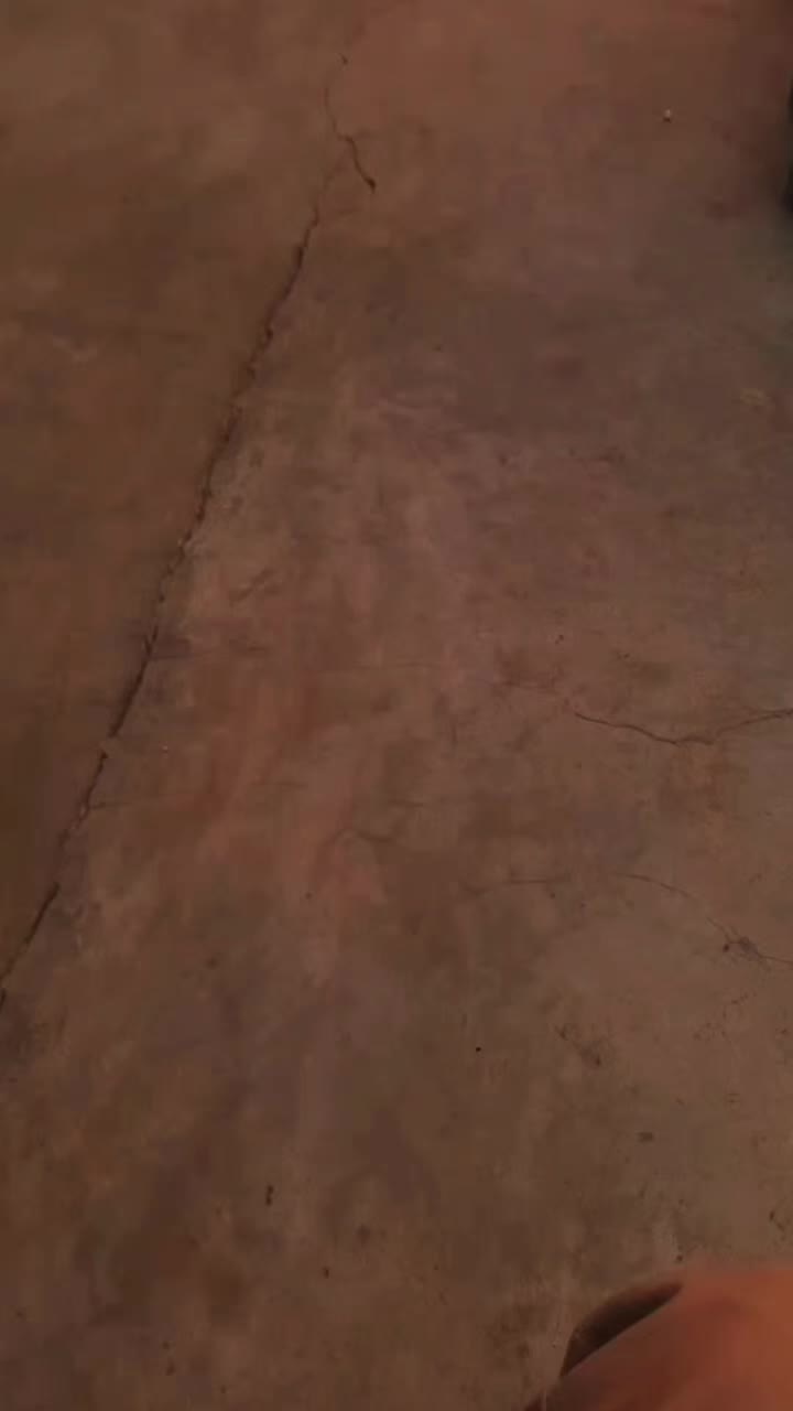 @dolifikri02