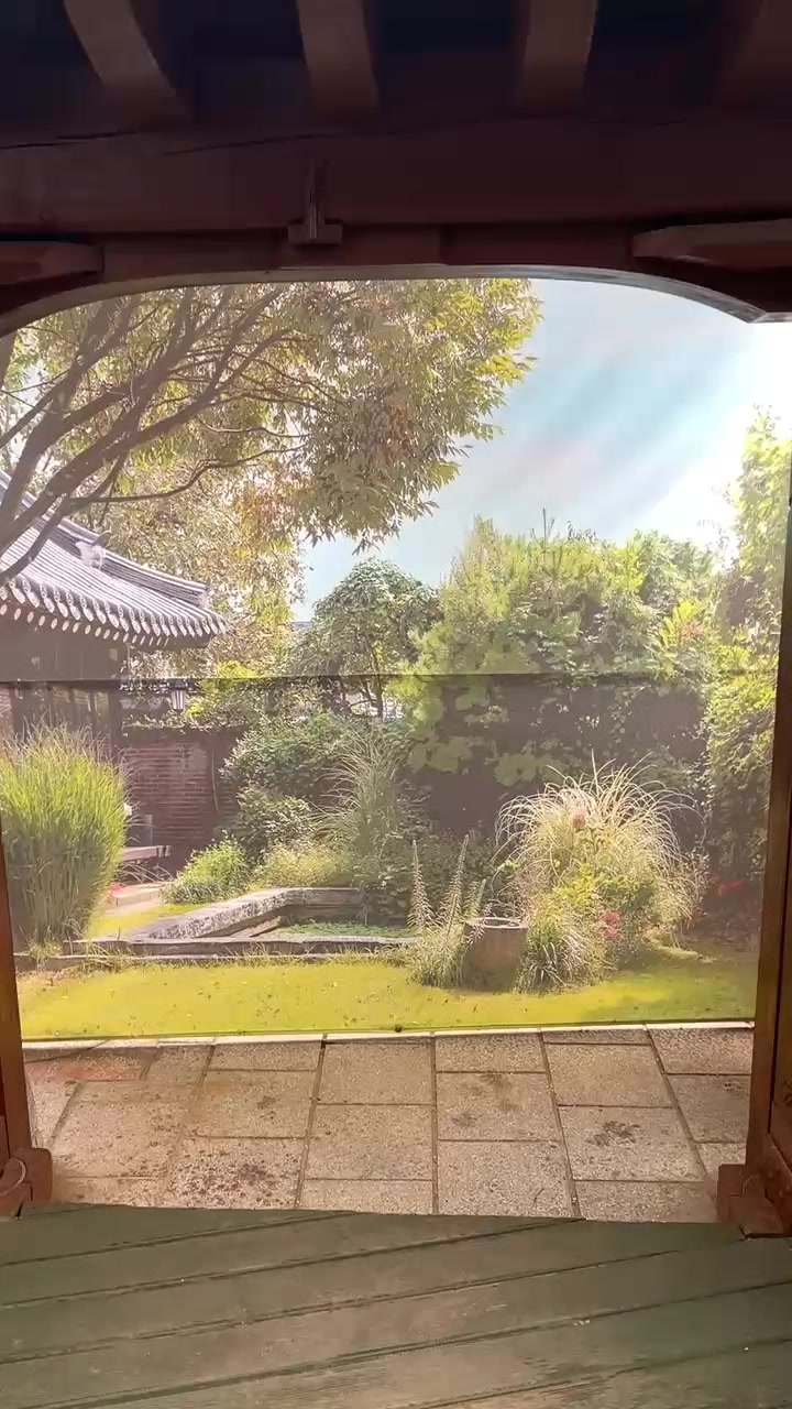 @KimTan🇿🇼🇰🇷