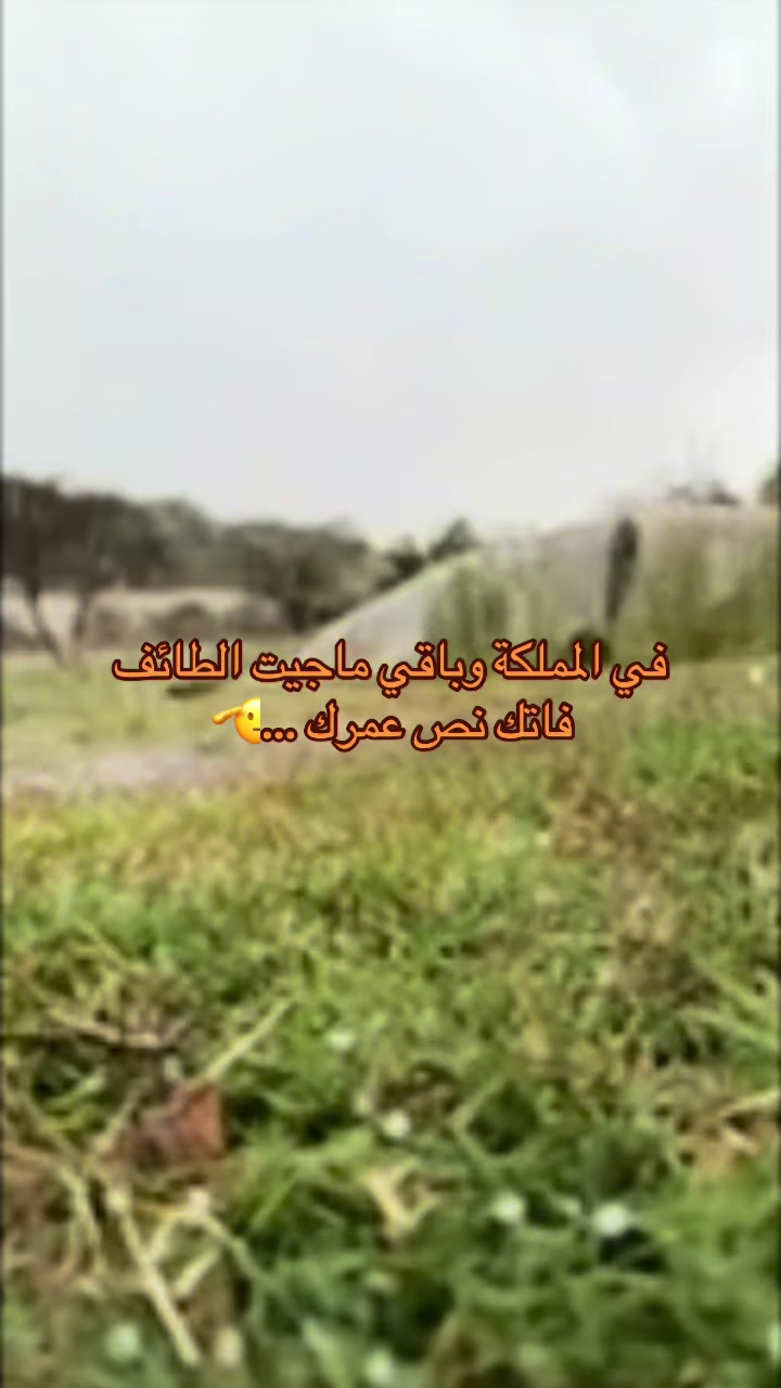 @ℳ𝒪𝒪𝒩🇸🇦💛