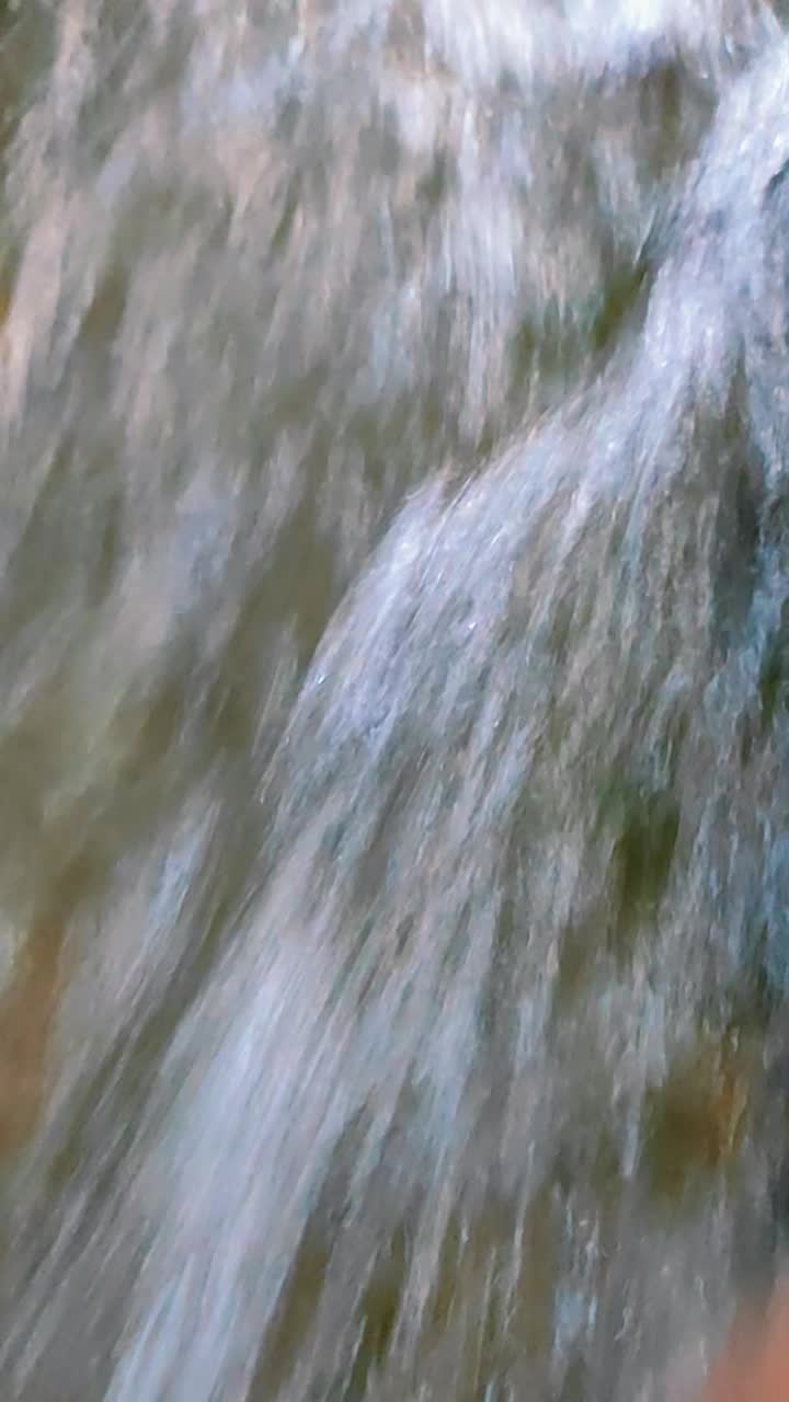 @سعيد المايسترو said maystro