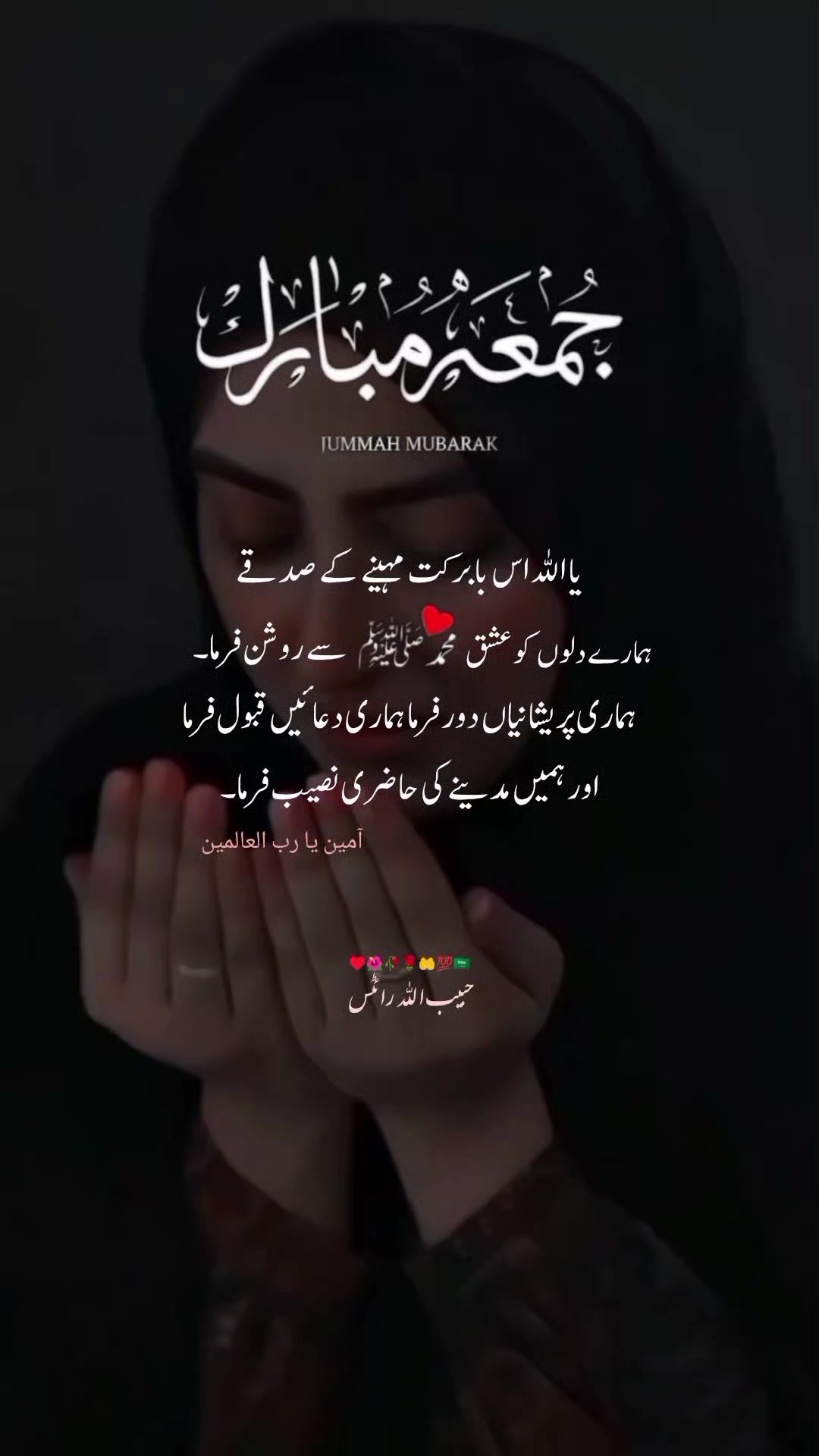 @حبیب اللہ ✍️