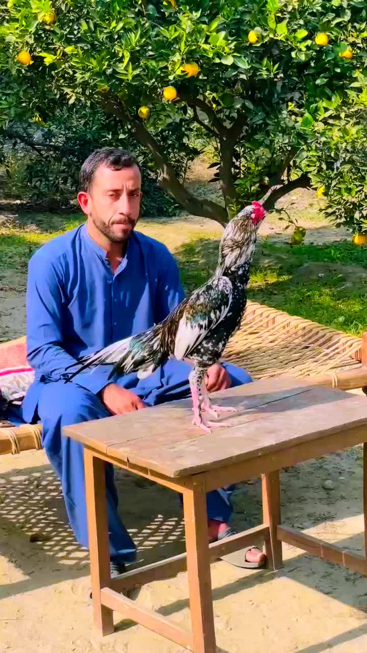 @Mr_Ak💗🤟