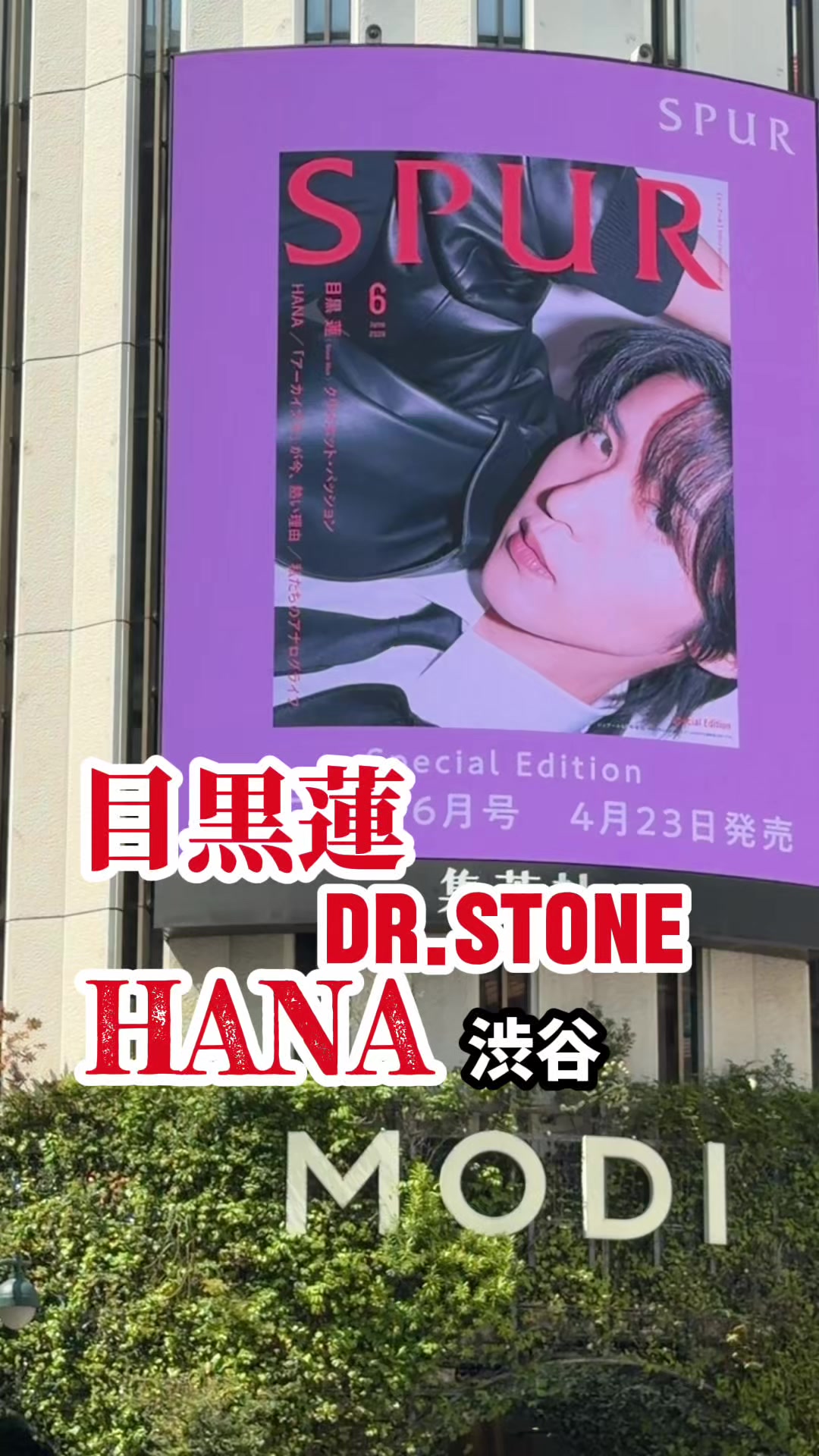 @渋谷NEWS