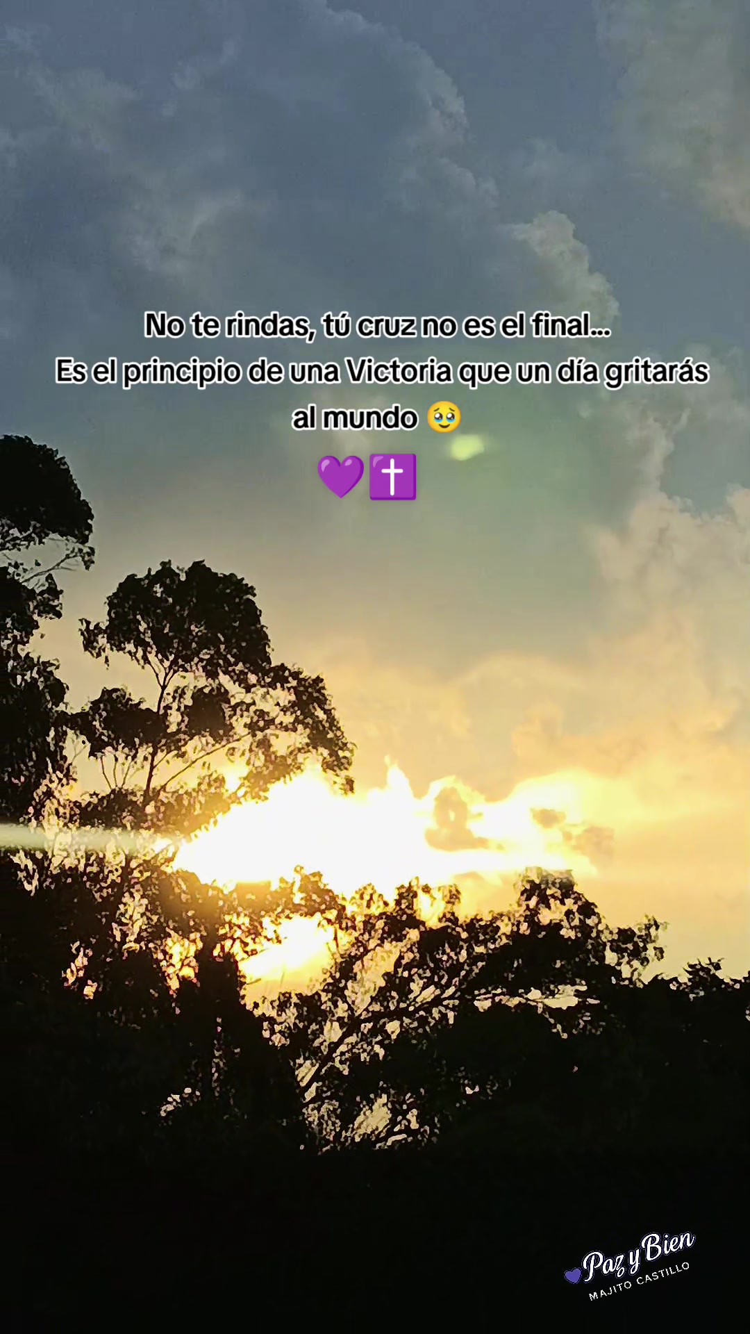@✨Majito Castillo ✨