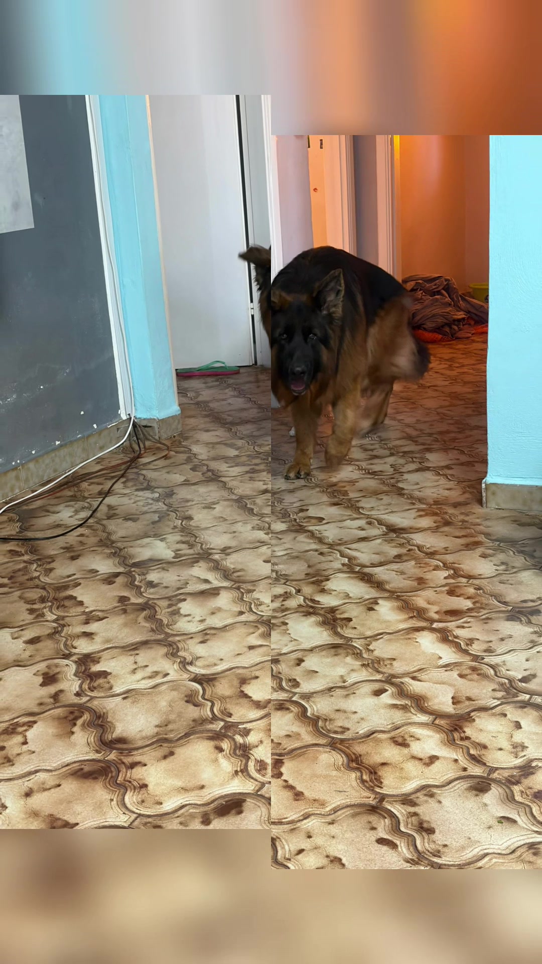 @𝐠𝐢𝐨𝐫𝐠𝐢𝐚