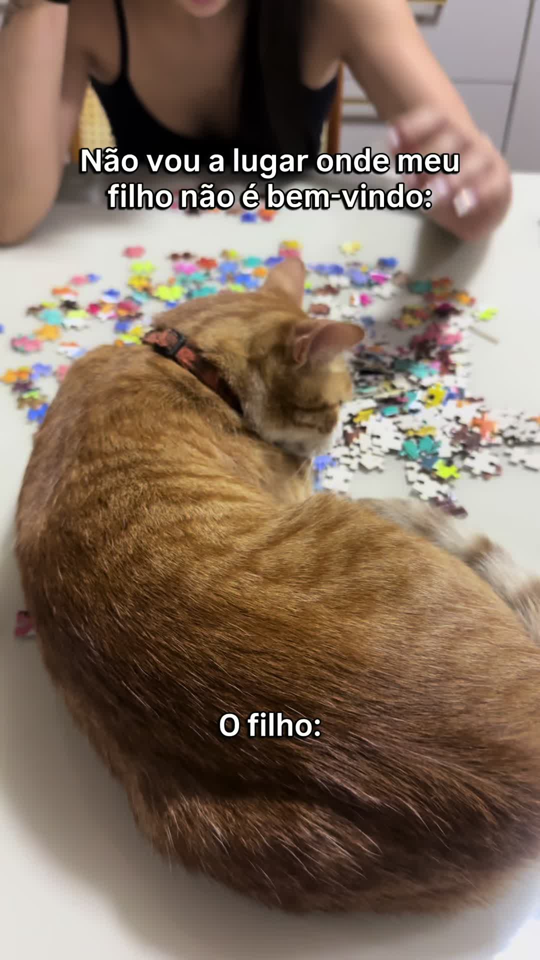 @loheseuspets