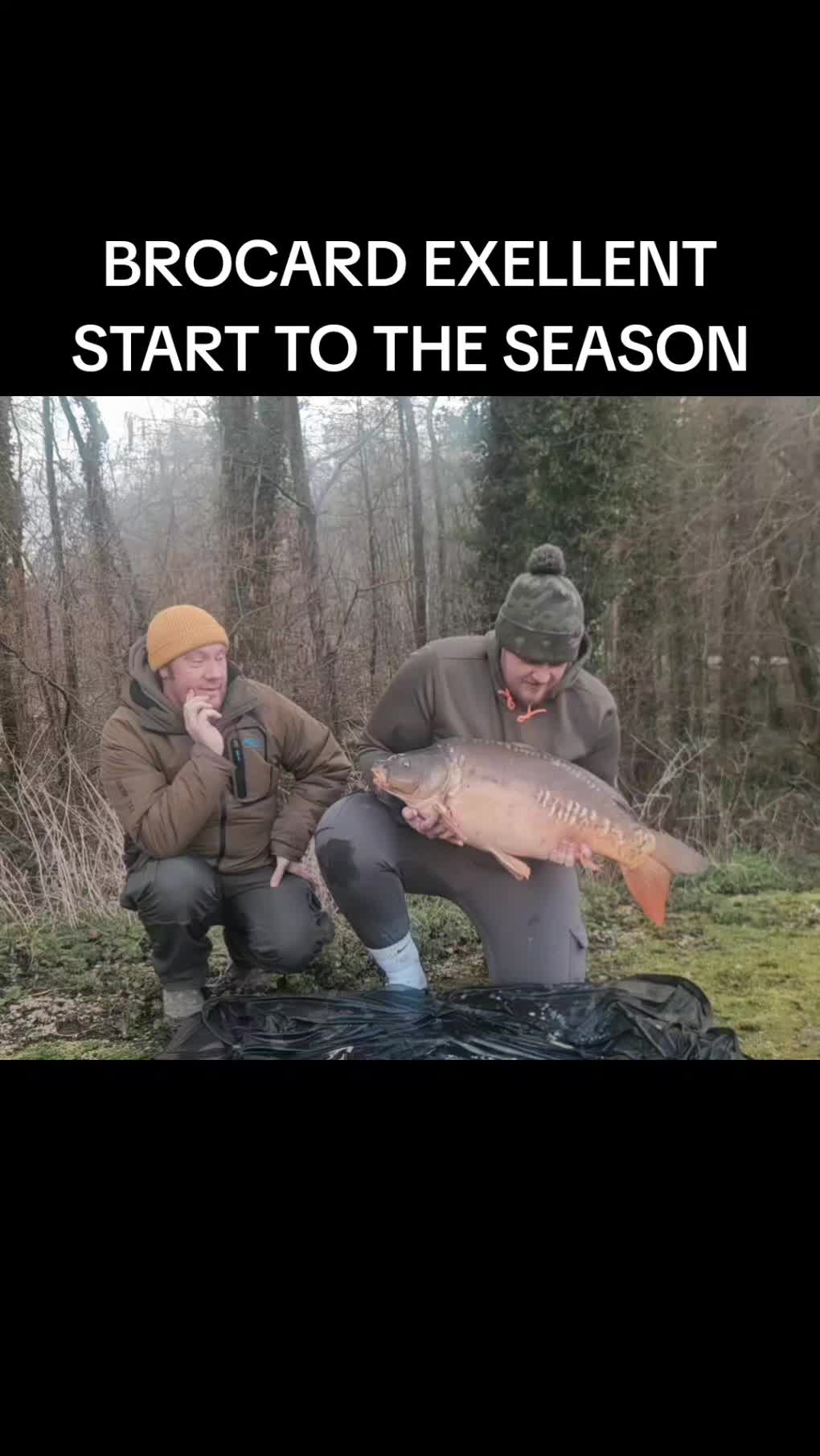 @scaley waters