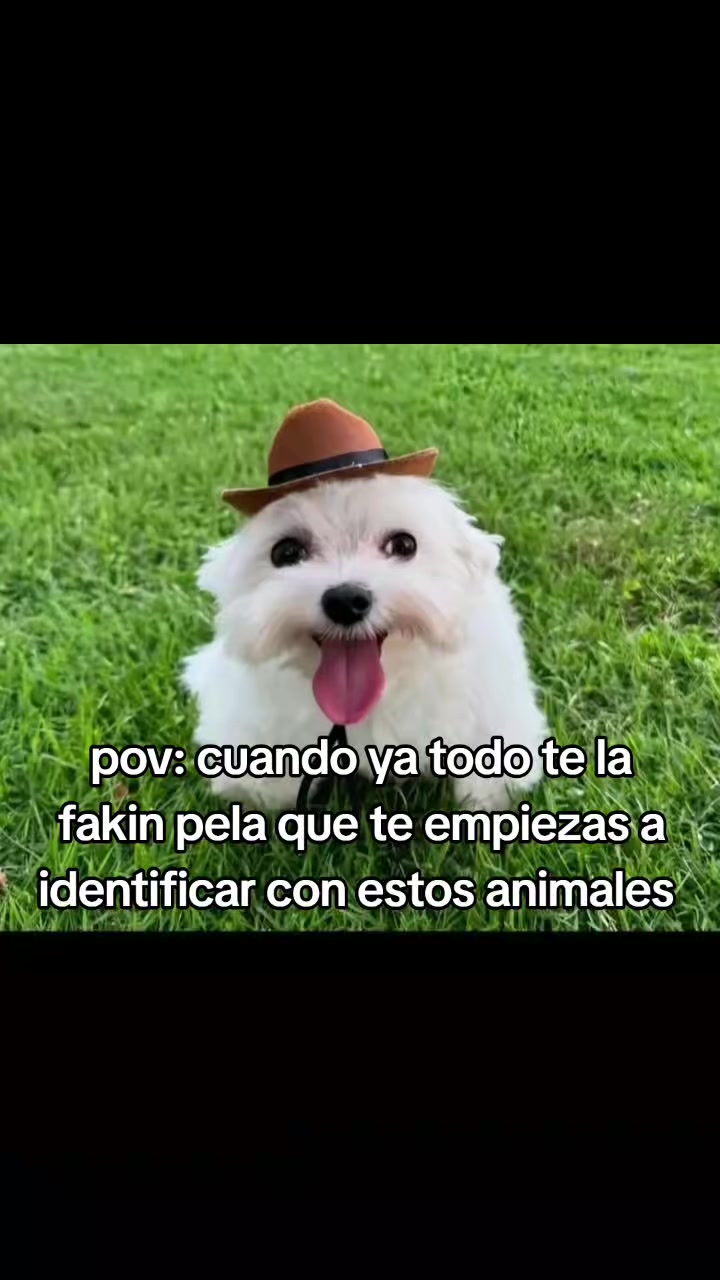 @😝ツLAUUUUUUツ😝