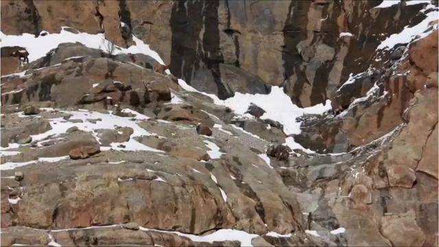 @oso