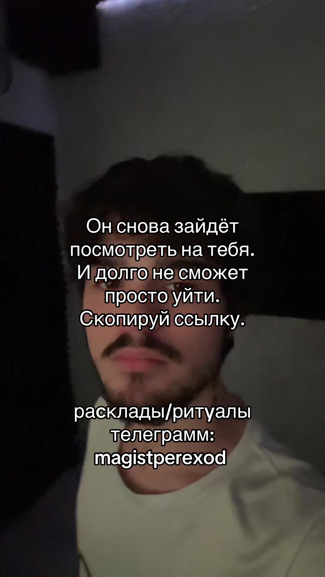 @Тг➜ magistperexod