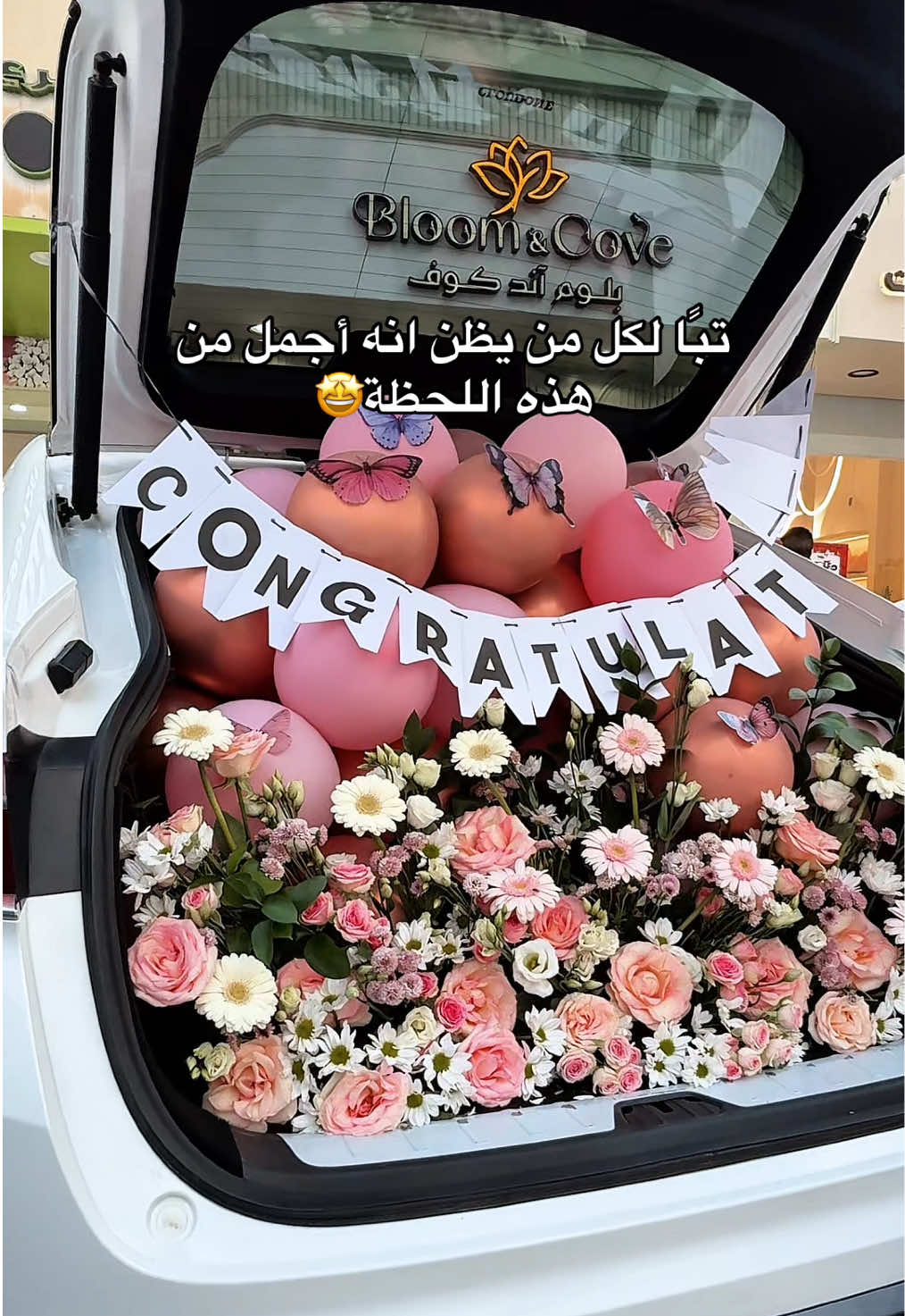 @BLOOM& COVE