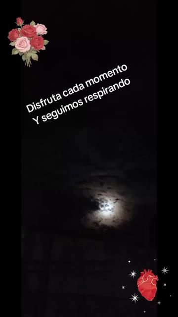 @damaris. mayorga5