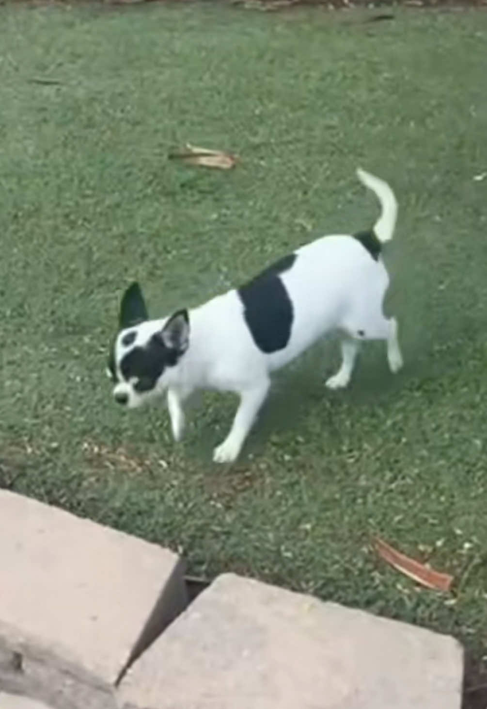 @MaiPaw